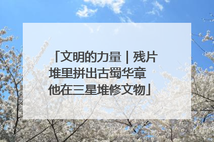 文明的力量｜残片堆里拼出古蜀华章 他在三星堆修文物